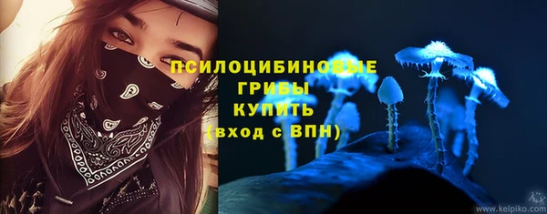 PSILOCYBIN Липки