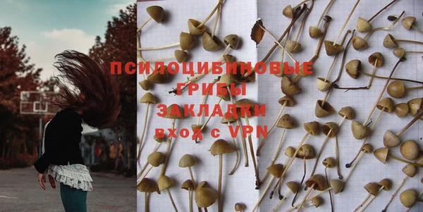 PSILOCYBIN Липки