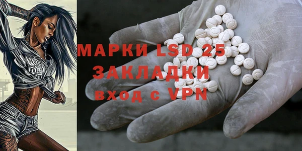 PSILOCYBIN Липки