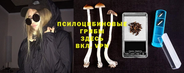 дмт Балахна